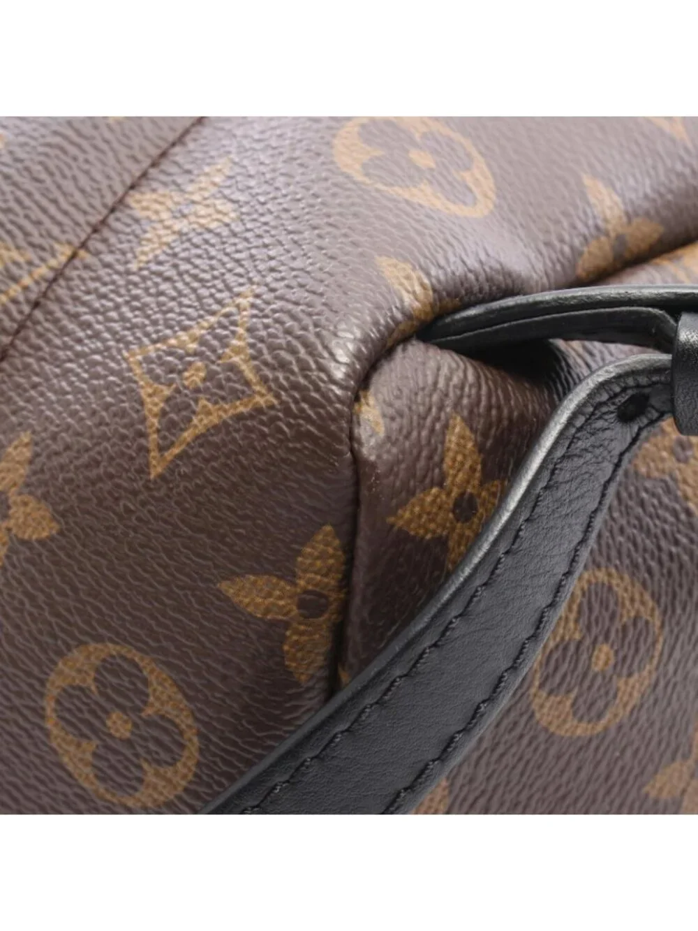 Louis Vuitton Backpack Palm Springs PM Monogram Leather PM